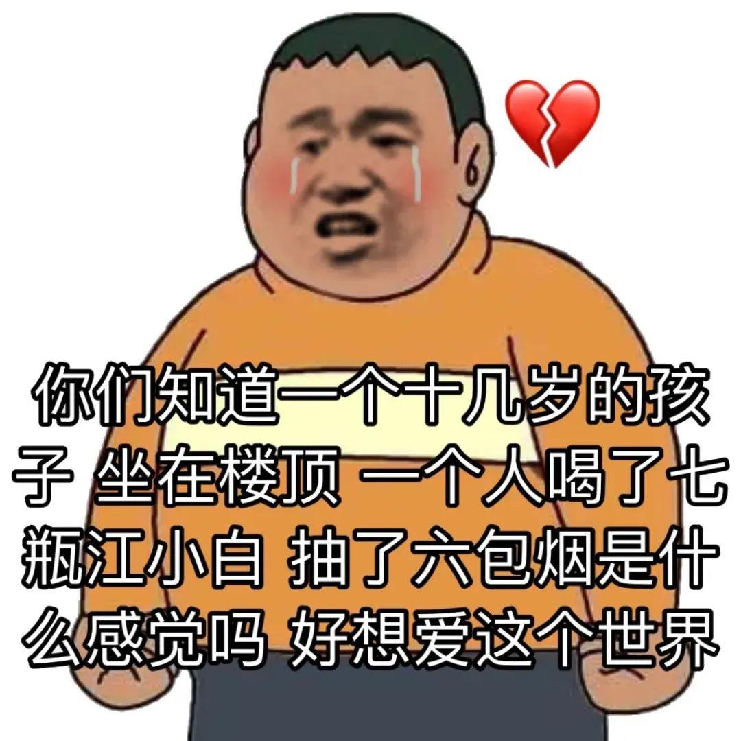 114張很沙雕但又不乏可愛的表情包