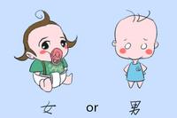 生男生女受哪些因素影响