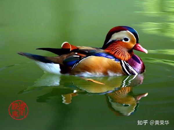 《布经》色彩:杏黄初探 - 知乎