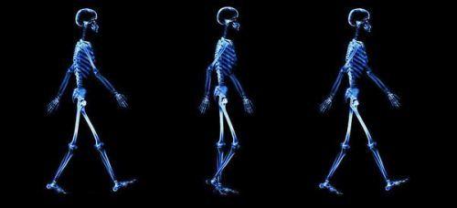 运动康复专业科普文章——步态分析（一） - 知乎