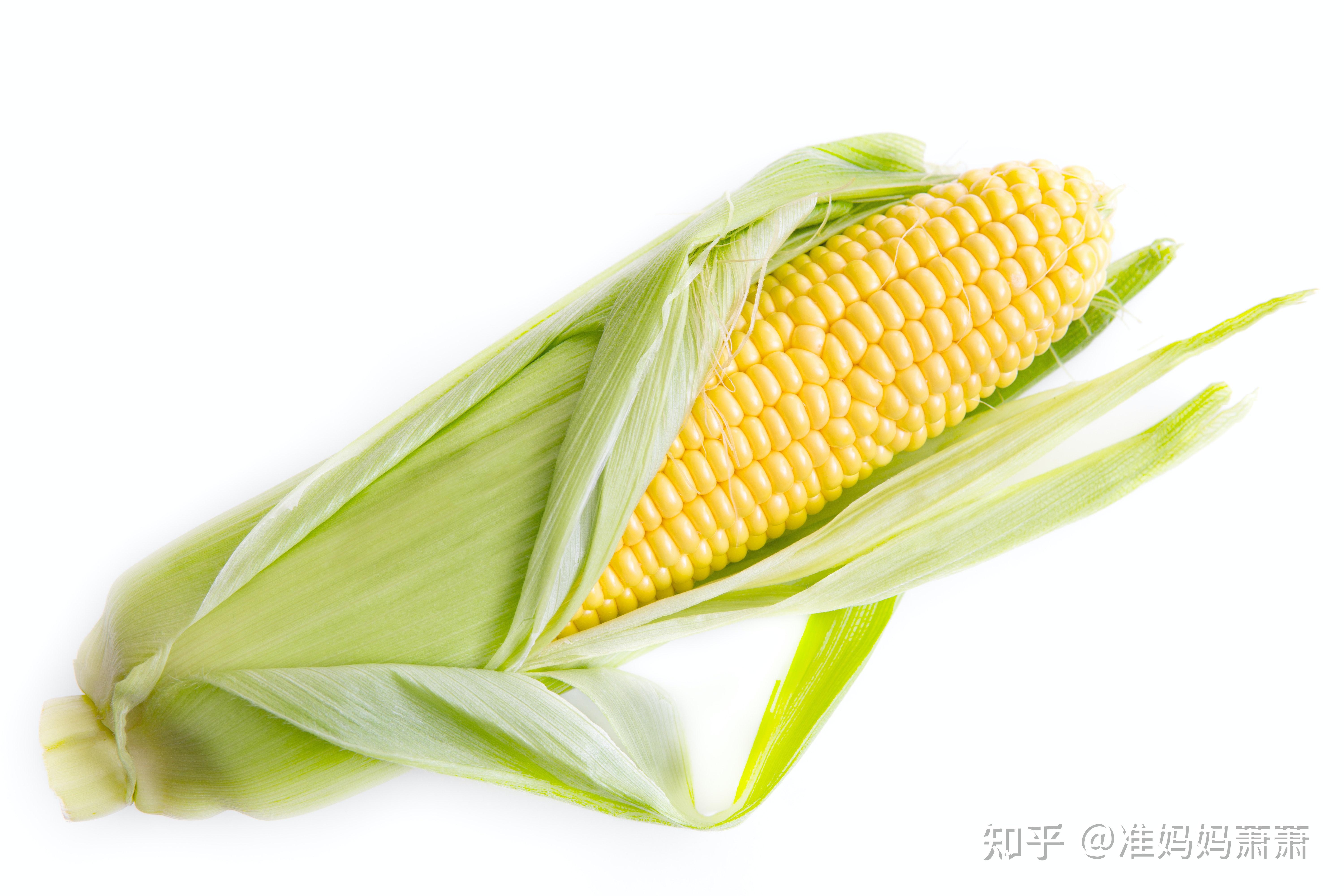玉米gl值图片
