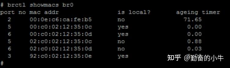 【brctl】-- 网桥 - 知乎