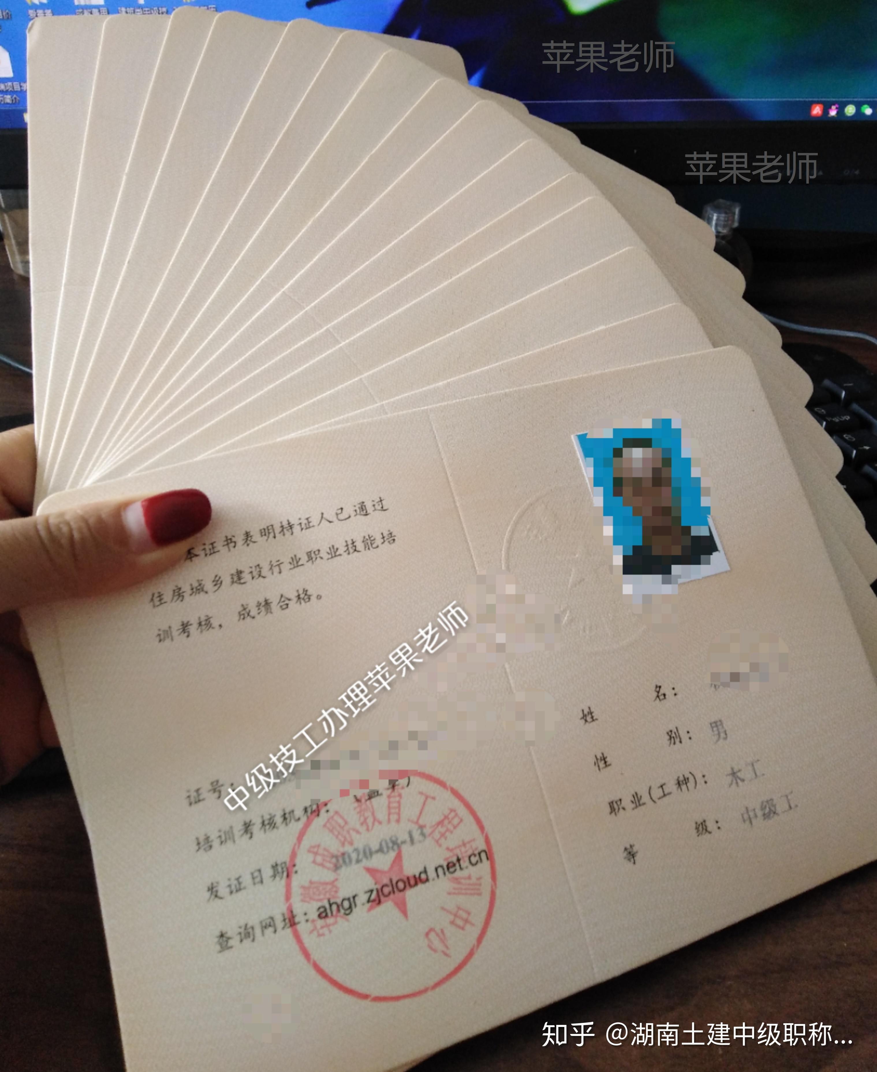 中级技工办理湖南同德瑞苹果