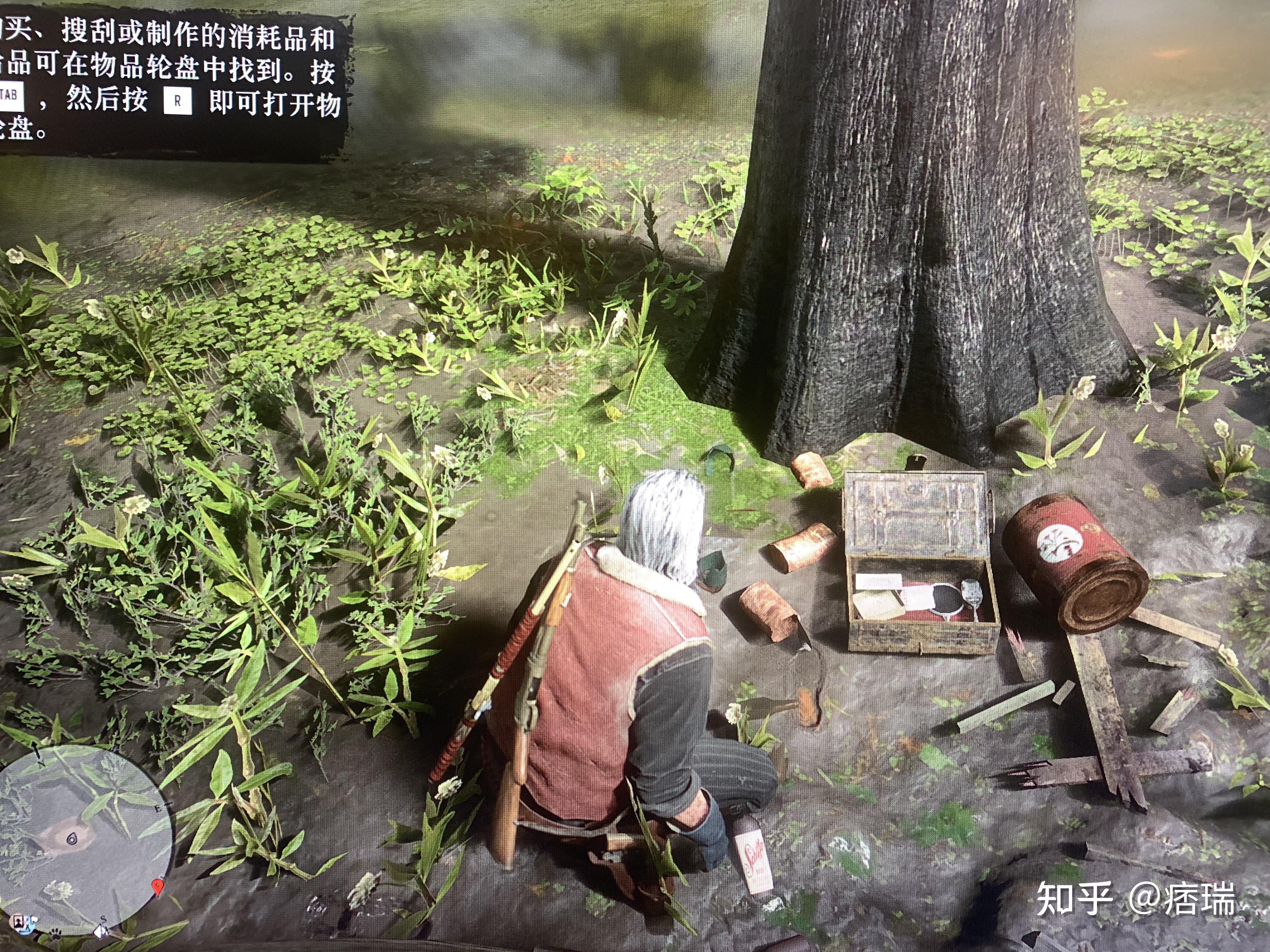 《荒野大镖客2》#蓝水沼泽#藏宝图 - 知乎