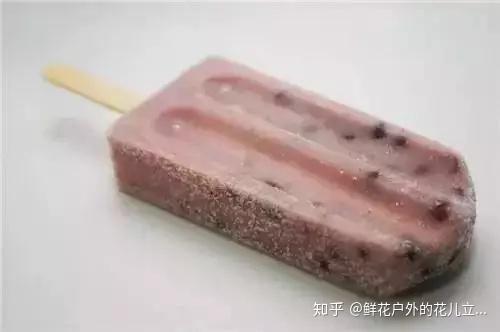 80后河北人的夏日时光