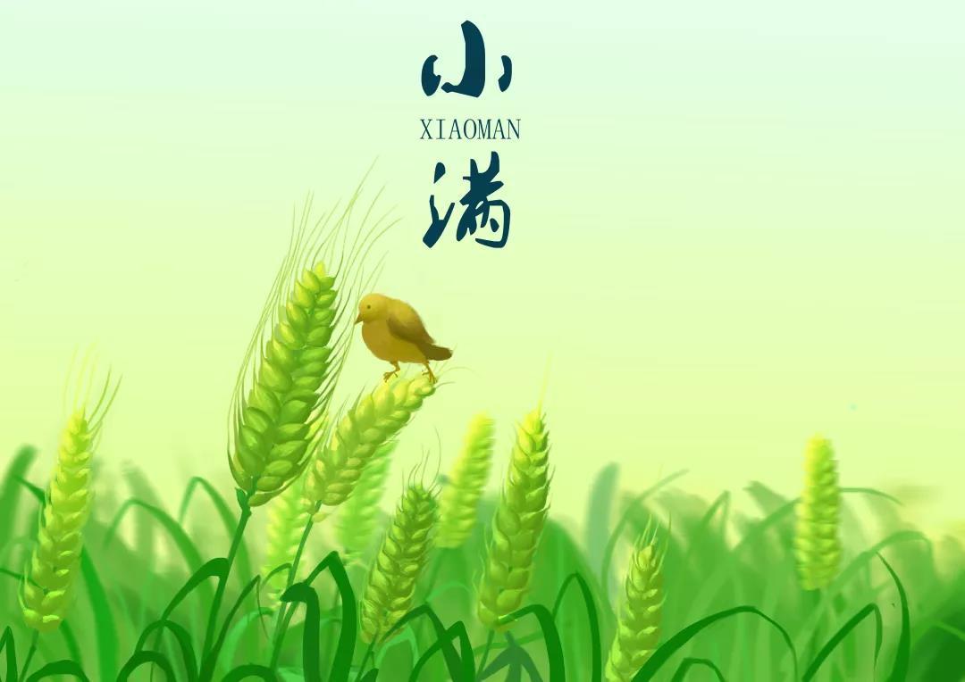 v2-7ce42ec0eadc22dc8724a98b73290f62_1200x500.jpg