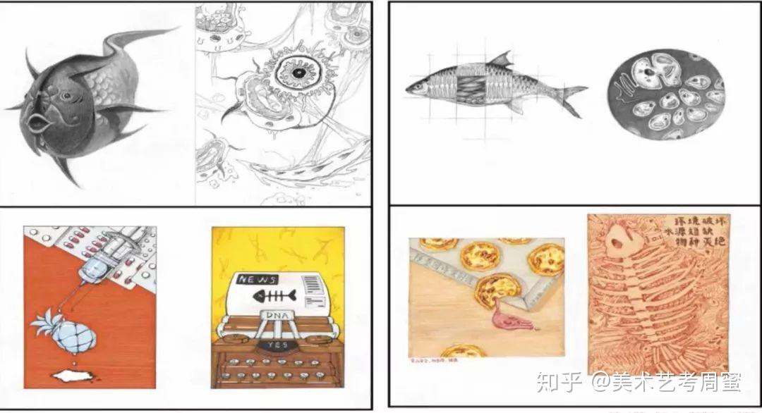 2016《转基因鱼》左边:上面的两张造型基础,一个全因素,一个线描形式
