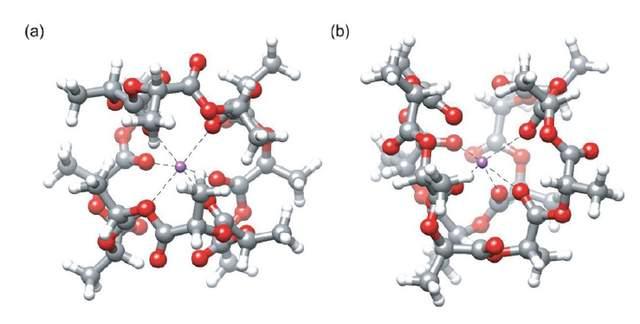 與pldla(poly-l/dl-lactide)形式相比較,plla形