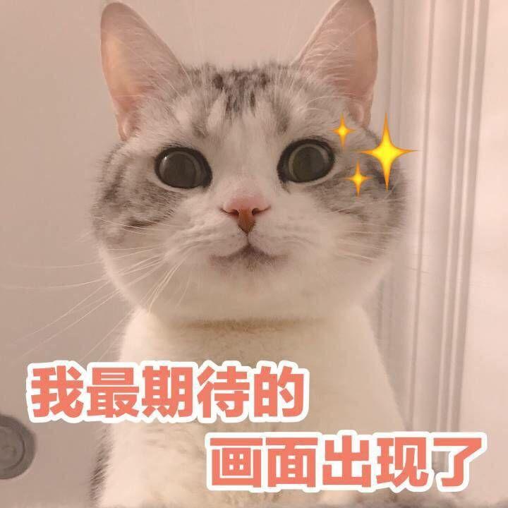 你的生活中有没有什么事和一部电影\/动漫\/小说