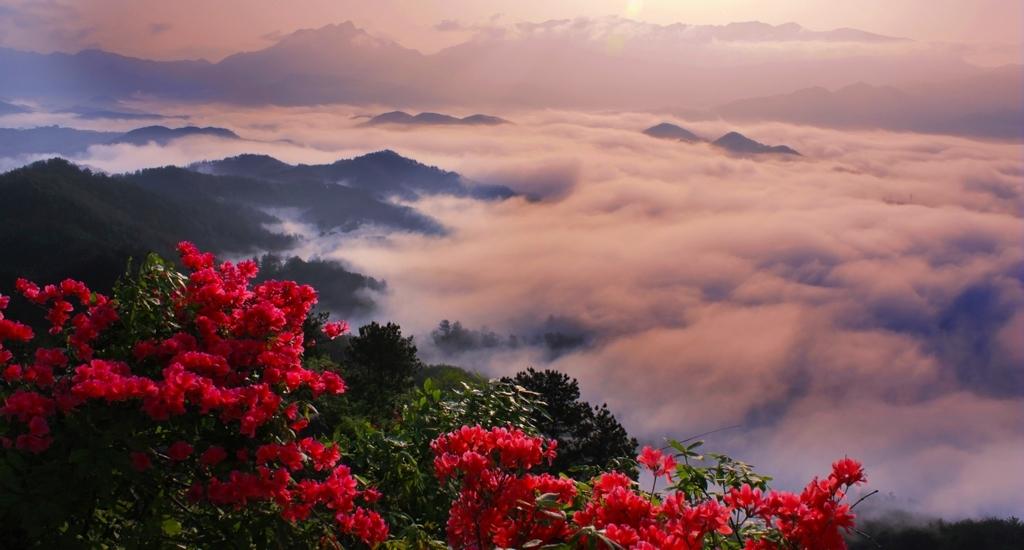 云雾山