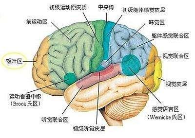 v2-7d1e1f438c8aee468f5906cb01a069dd_b.jpg