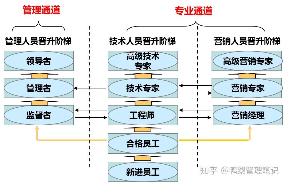企业如何帮助员工开展职业生涯规划