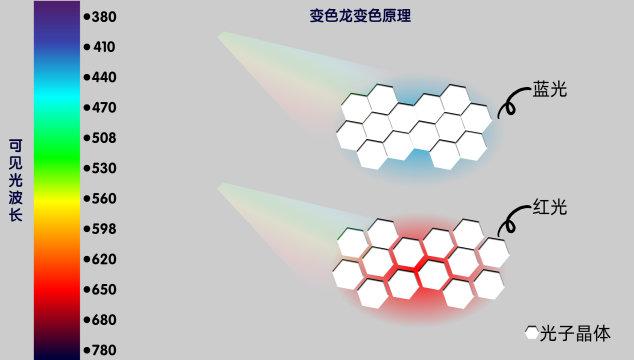 "妈妈回答道,"比如当变色龙放松时,这些光子晶体呈现彼此靠近的状态.