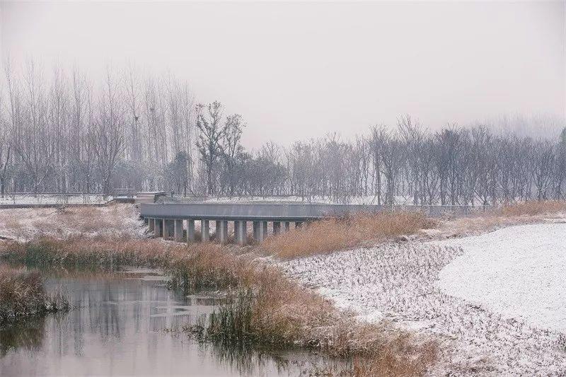 笛东臻品界首市沙颍河河道景观