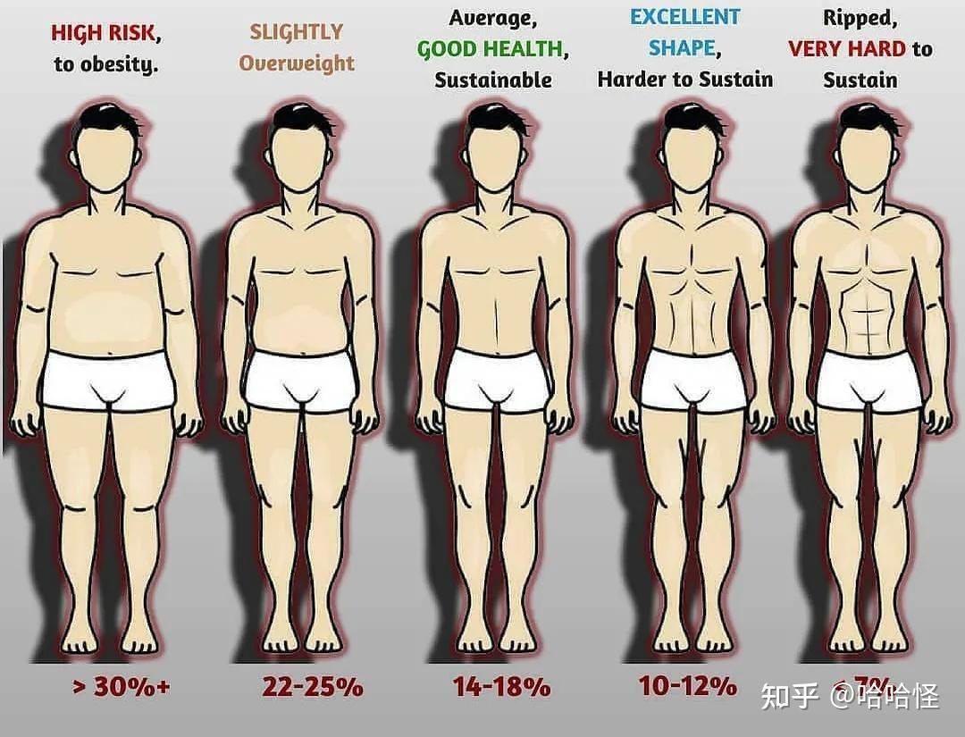 通常对于男生而言,体脂率高于30%为肥胖,对身体健康危害很大;处于22