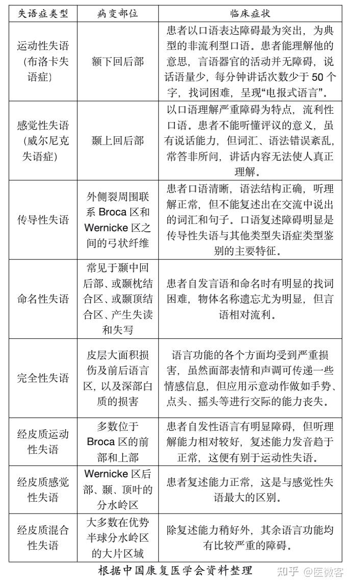 目前,已被学术界广泛认可,以解剖-临床为基础的失语症分类主要有以下