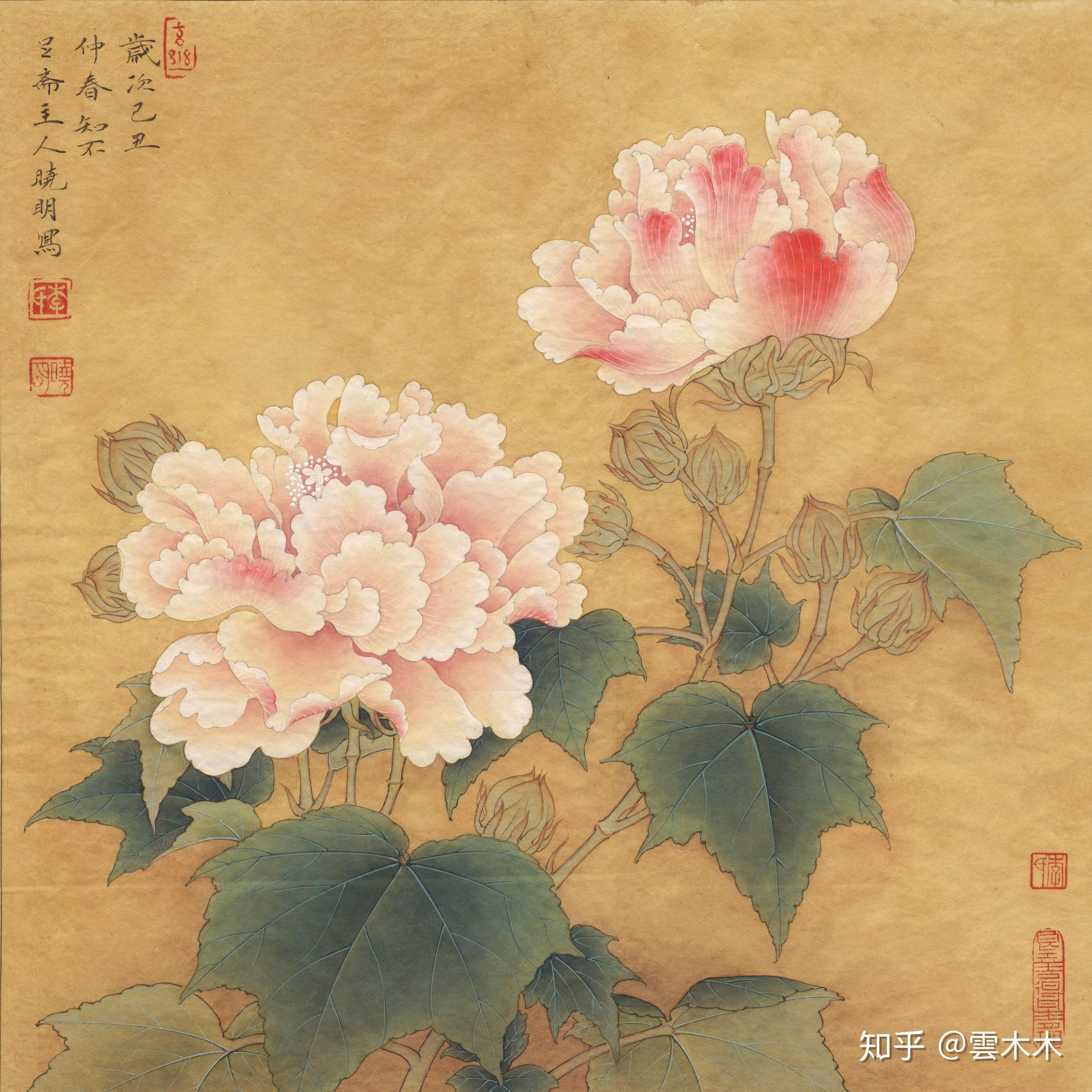 宋小品《李迪红芙蓉 》国画工笔,绘画步骤图 - 知乎