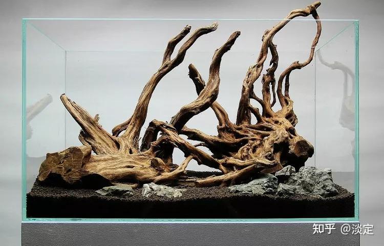 适合新手的60cm杜鹃根草缸造景过程 - 知乎