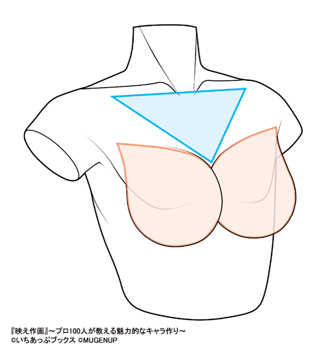 学习如何画一个基本的胸部