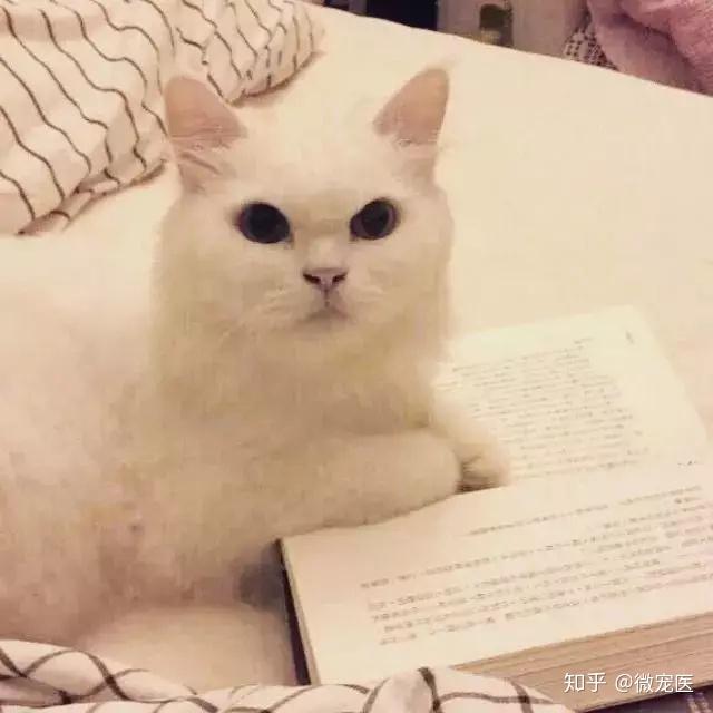 五月天"最佳制作人"菜头粿离世:离开的时候,就当我飞翔