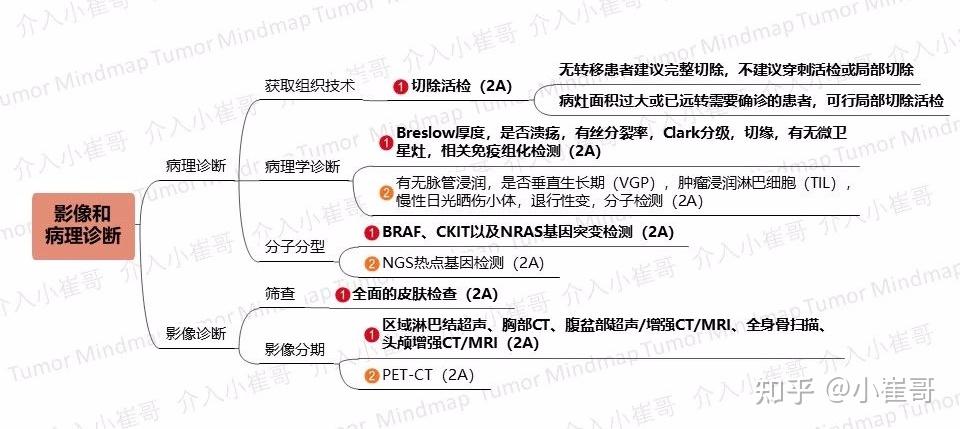 肿瘤思维导图19期恶性黑色素瘤csco2020诊疗指南