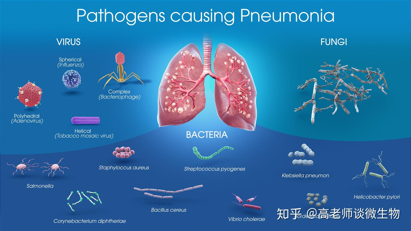 病原微生物分类，实验室等级规范和区别，P1-P4说清楚 - 知乎