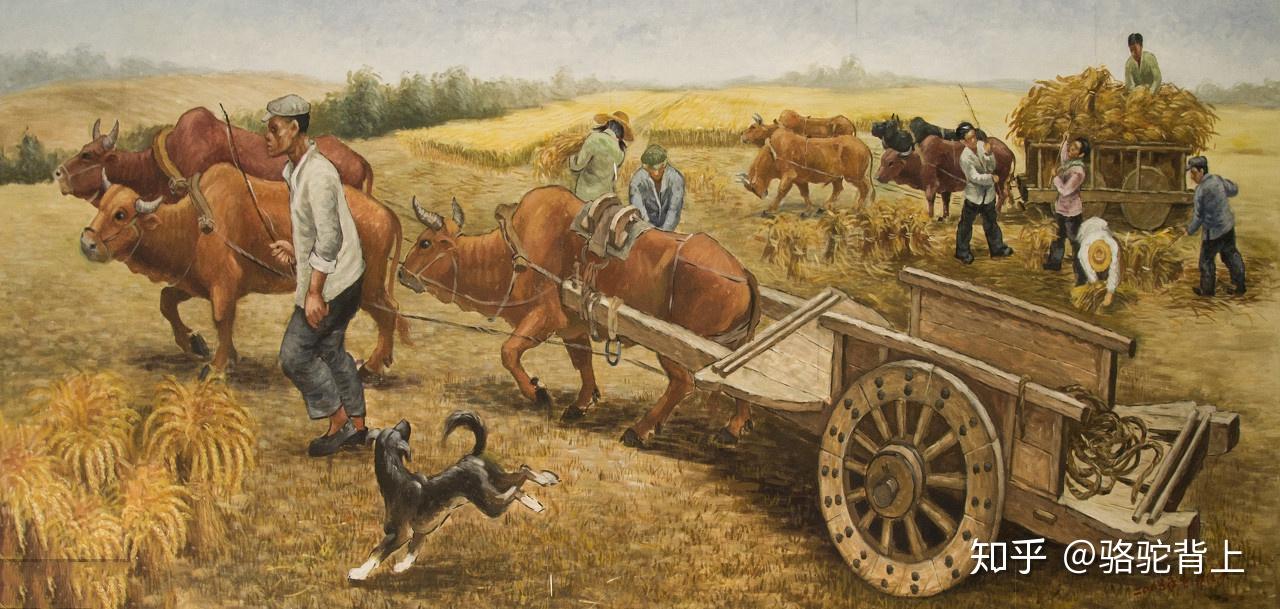 人们用镰刀割了麦子然后拉到压麦场上集中脱粒,这种地排车在现在很多