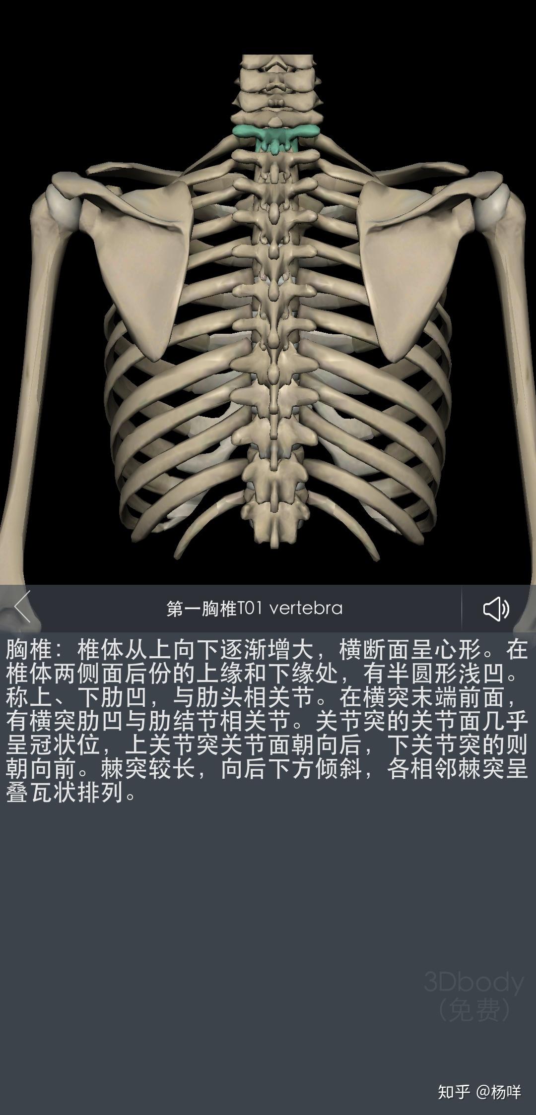 前沿医学-中国筋膜技术脊柱侧弯矫正技术介绍及临床案例影像学及体态分析 - 知乎