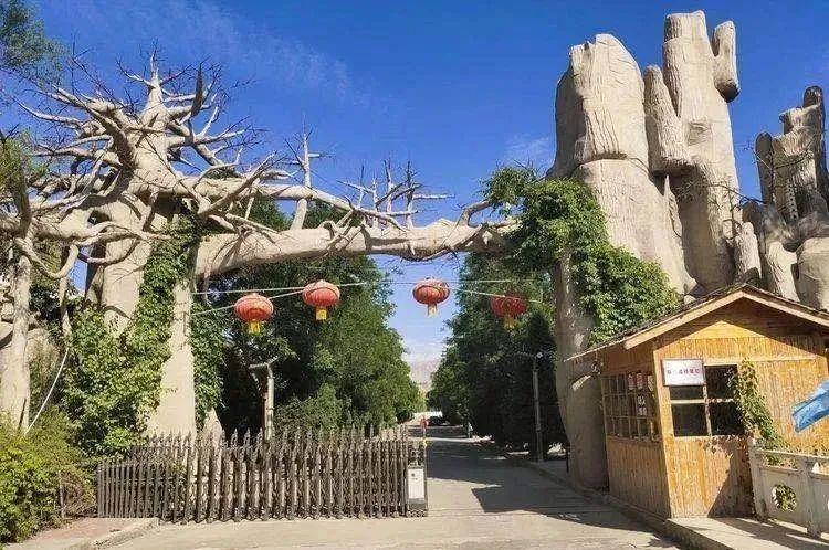 你眼中的四龙度假村是什么颜色?