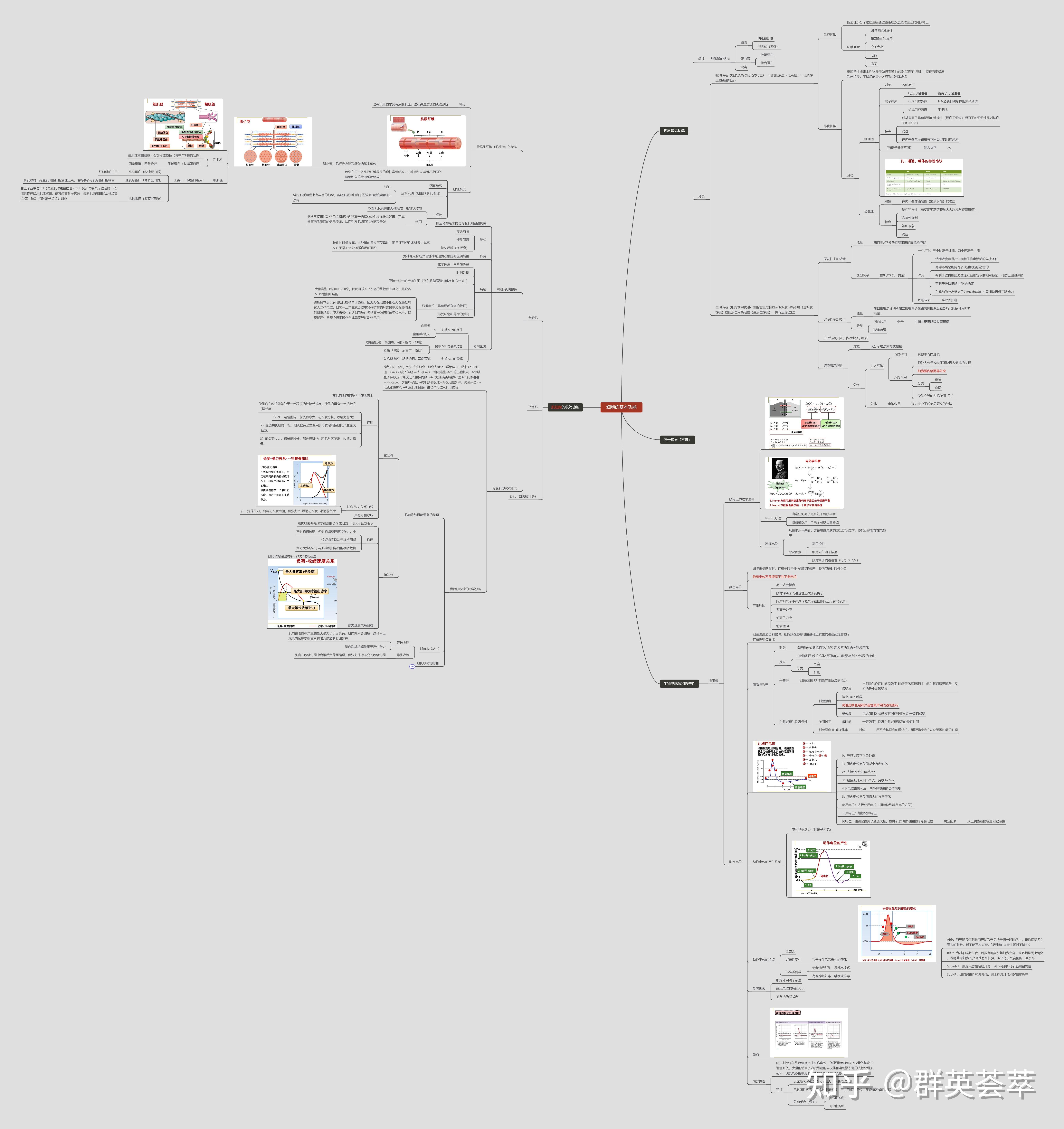 生理学思维导图第二章图片