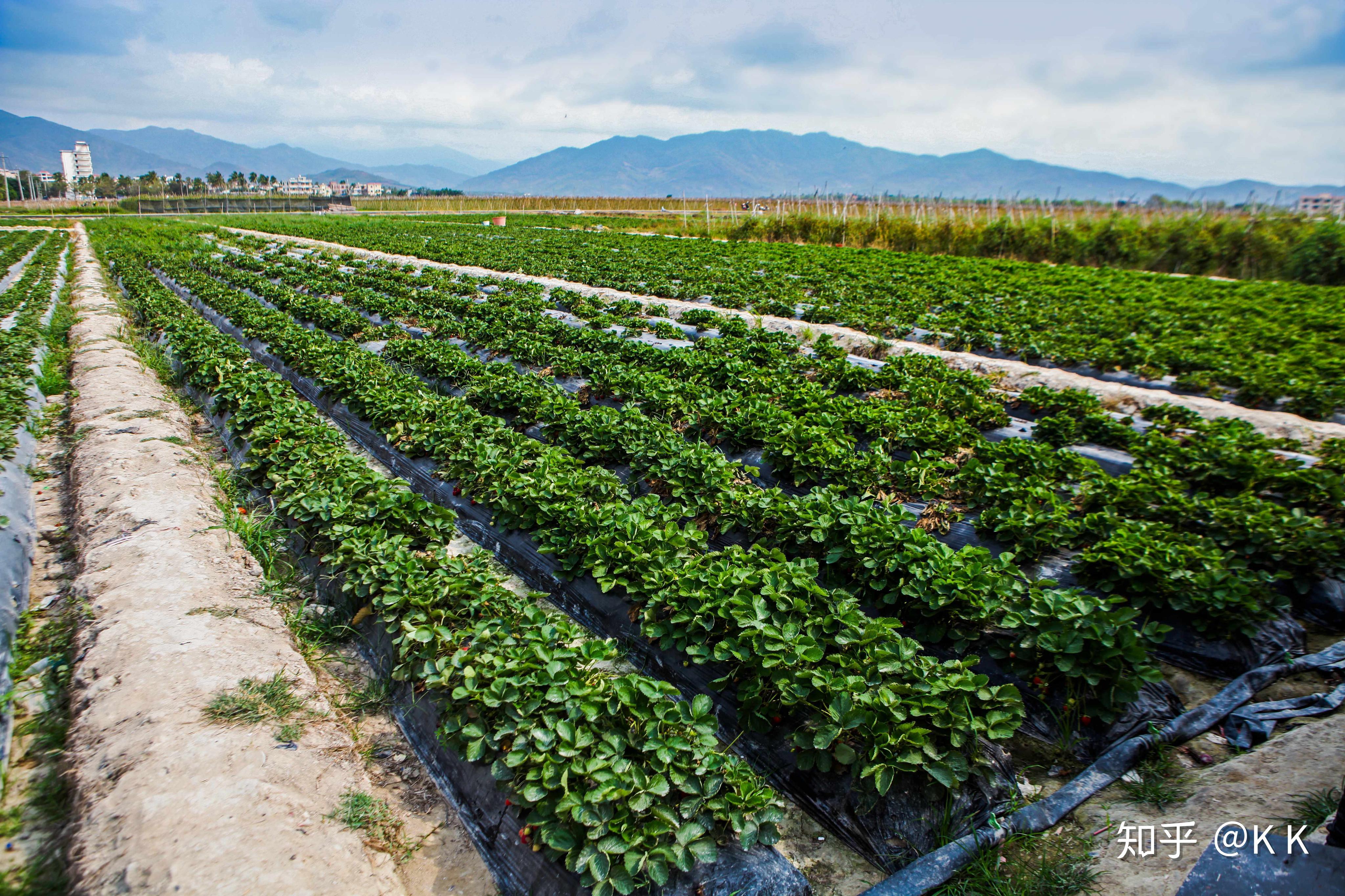 三亚槟榔河的美