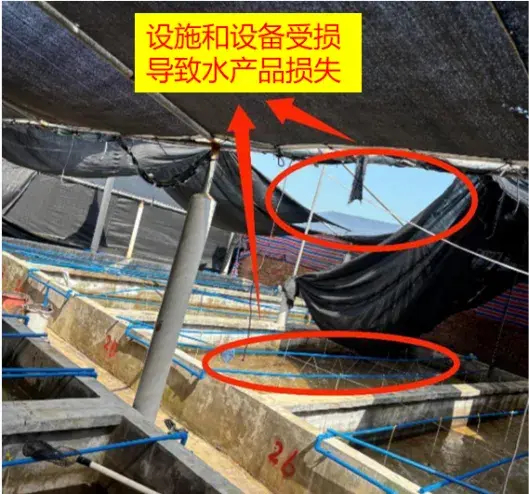 风灾调研|2024.9.6台风“摩羯”对工商业中断影响调研 - 知乎