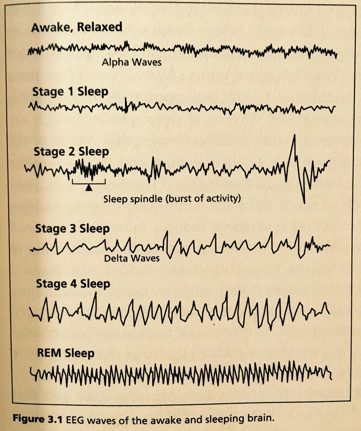 如何科学地睡个好觉首先重视起来一