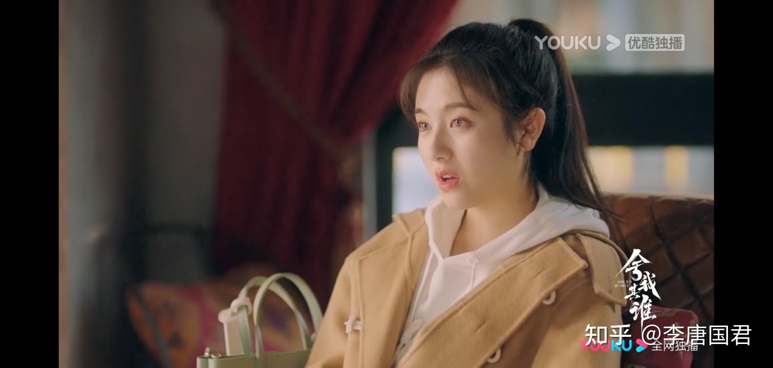 如何评价李兰迪牛骏峰主演的电视剧舍我其谁