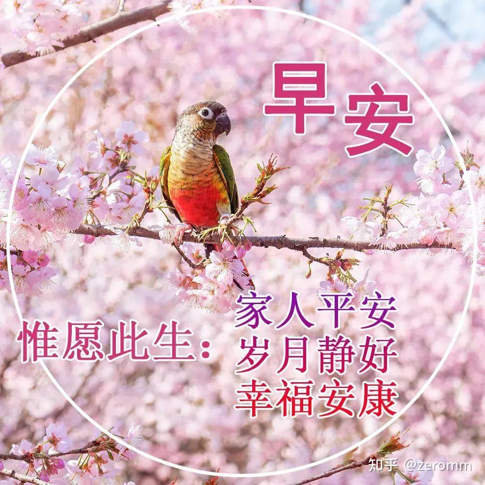 降温关心大家的早上好祝福语暖心很漂亮的早安问候语图片带字
