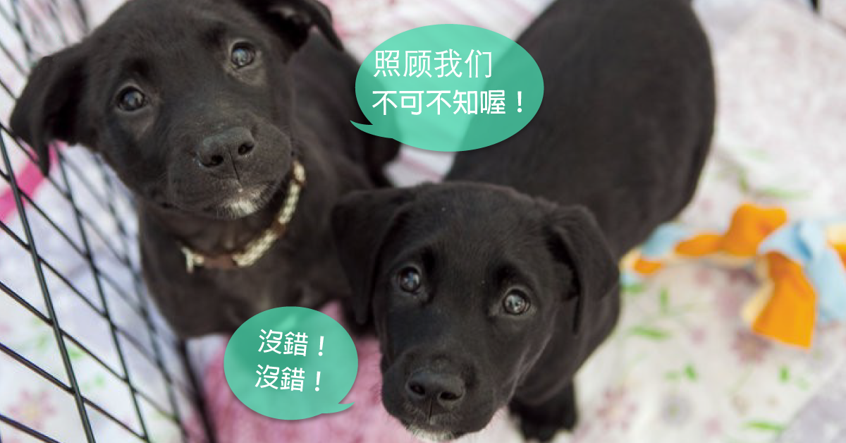 v2-7df8f29babff49514d9dd4596ea1ac7f_1440w.jpg?source=172ae18b
