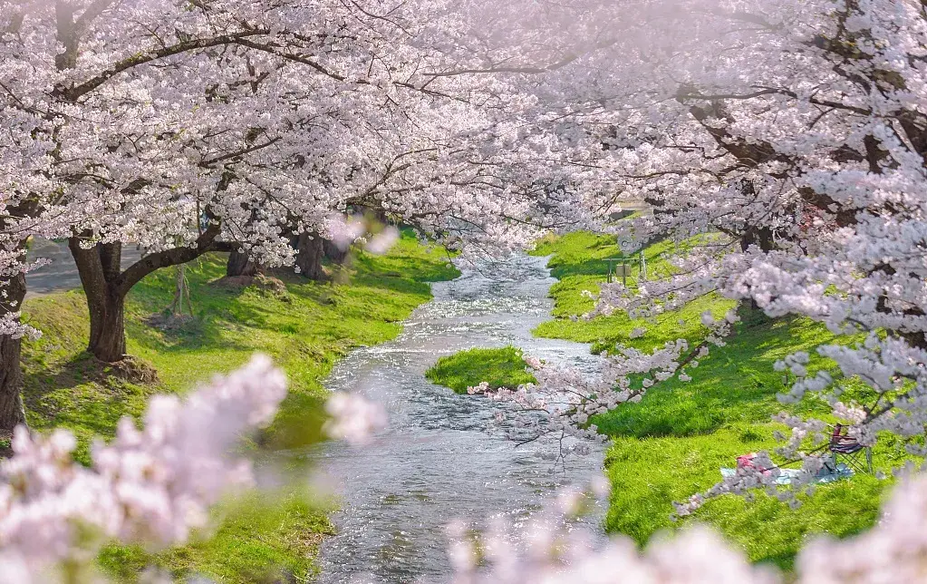 日本俳句中有哪些浪漫至极的季语日语学习