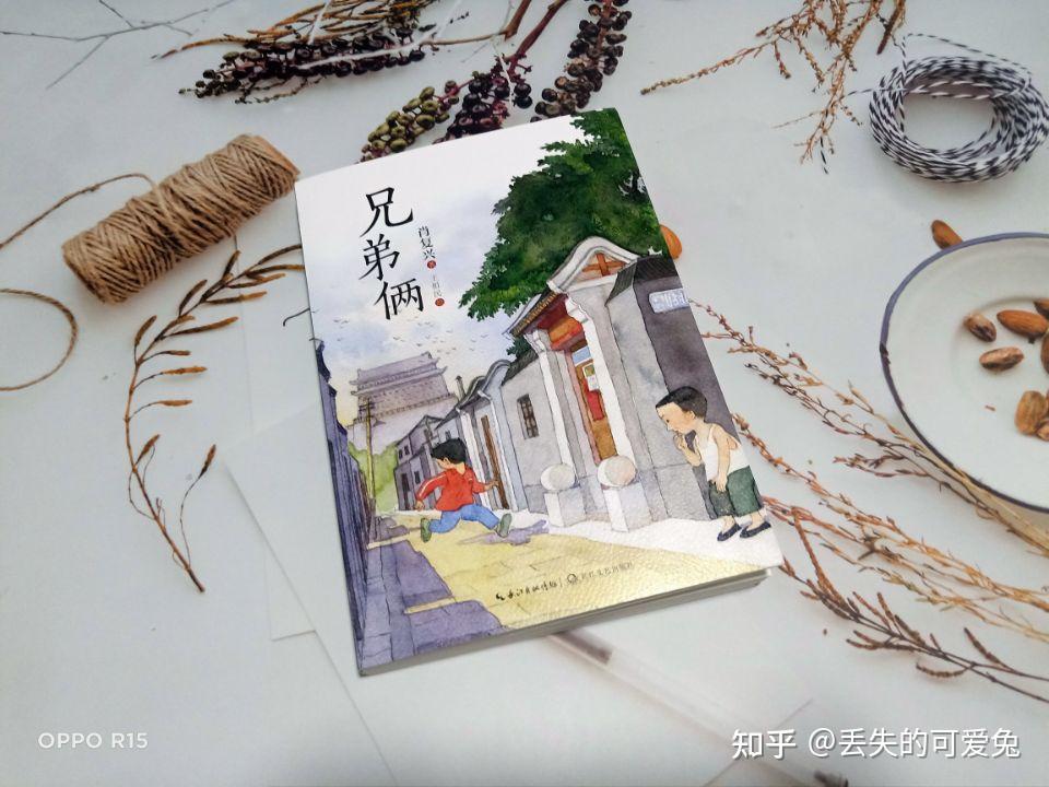 由肖复兴所编著,王祖民绘制的儿童文学《兄弟俩》是以肖复兴自己和