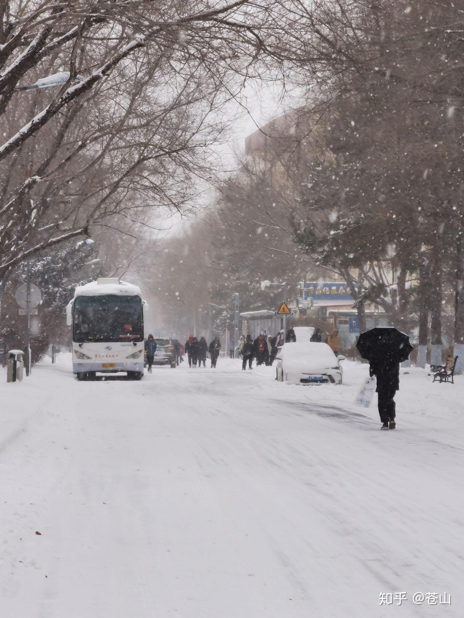 哈尔滨下雪图片真实图片