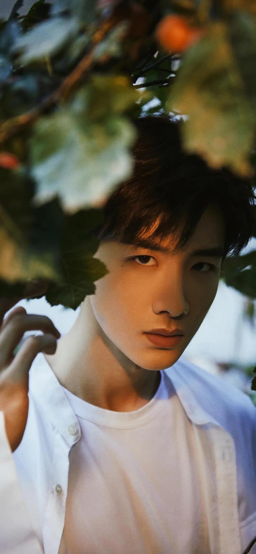 壁纸:白敬亭 - 知乎