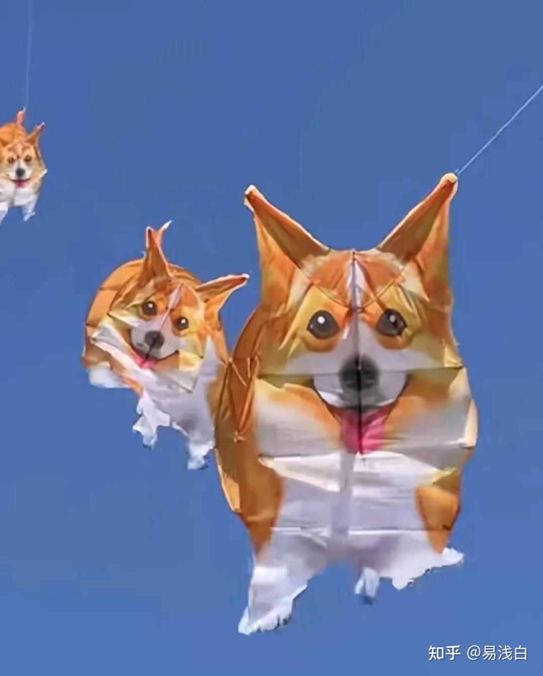 这精神状态遥遥领先啊!