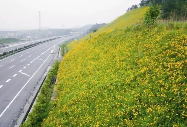 新型护坡景观设计,斜坡绿化也可以这么美!