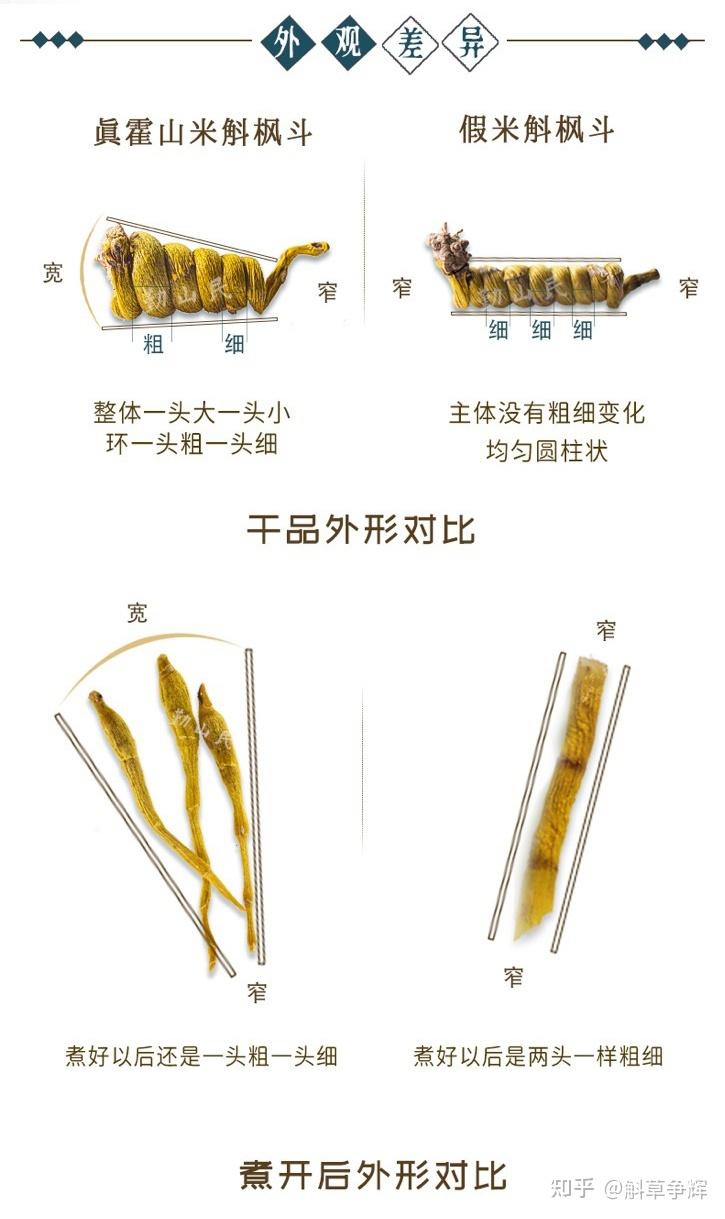 有龙头有凤尾才是好米斛 - 知乎