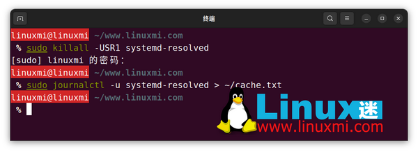 linux-dns