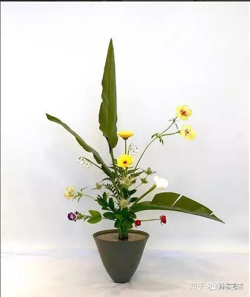划重点了！五分钟让你了解日式立花 - 知乎