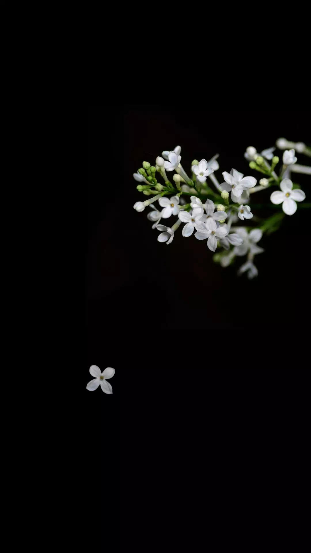v2-7e3395927d173abe6a6d450c65f67c2a_r.jpg