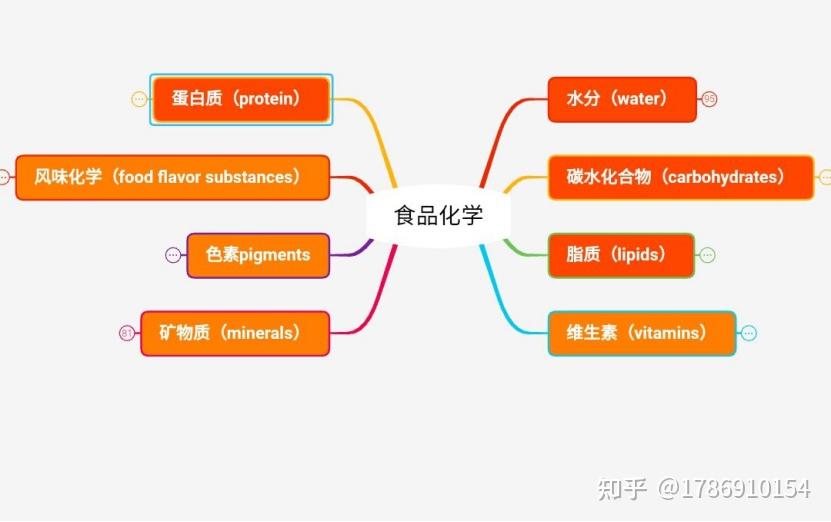 食品化学绪论思维导图图片