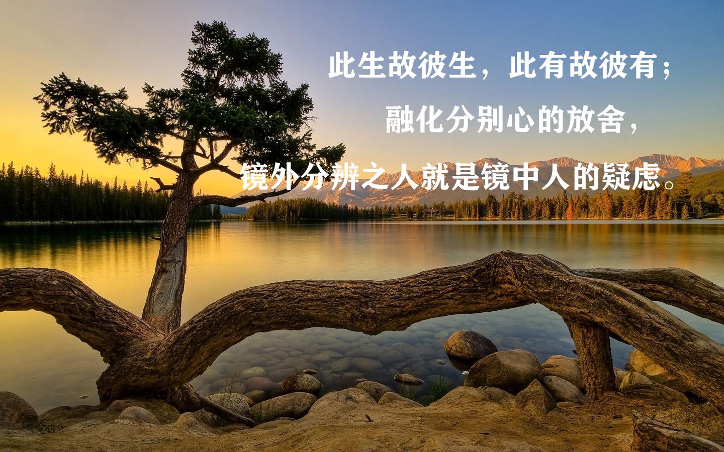 梦境变迁，从频繁梦到男友到梦影渐稀的奥秘