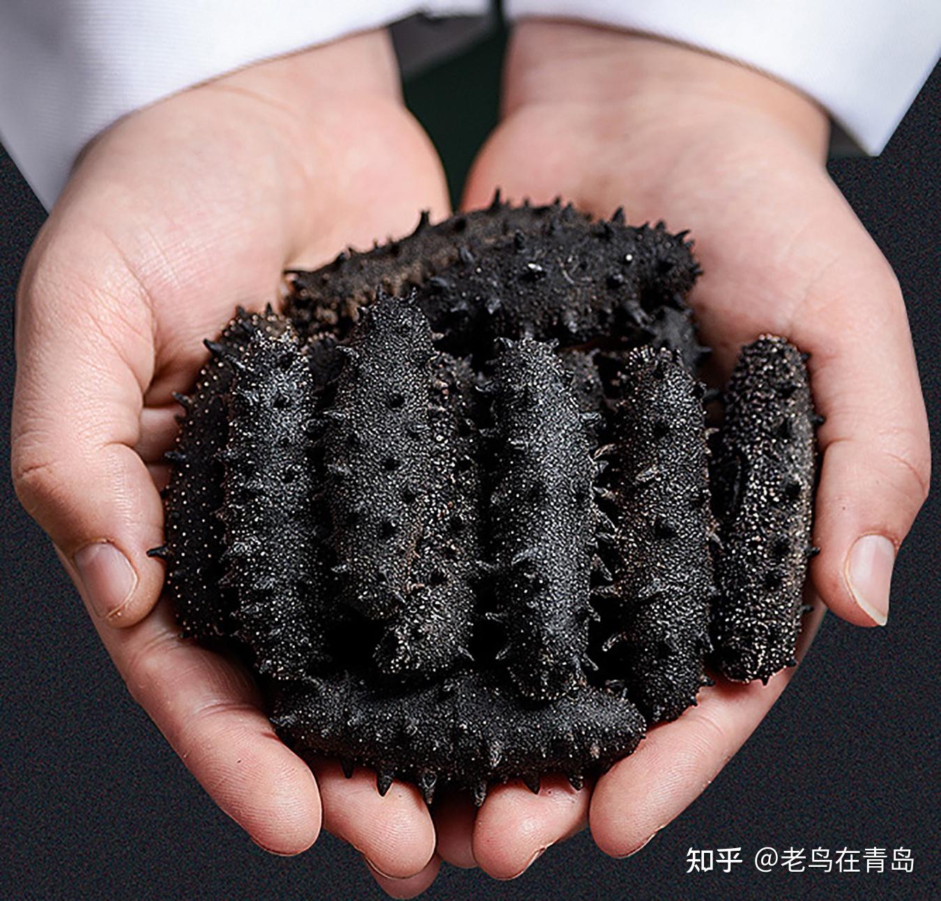 如何挑选好海参,看这篇 “海参鉴别指南”就够了,大家都在看 - 知乎