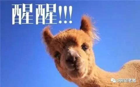 放单平台点赞有收益吗安全吗知乎推荐一下的简单介绍 放单平台点赞有收益吗安全吗知乎推荐一下的简单介绍